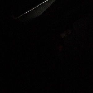 Meet your Posher, Steve